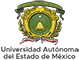 Especialidad Medicina de Urgencias Hospital General Regional 251 Metepec